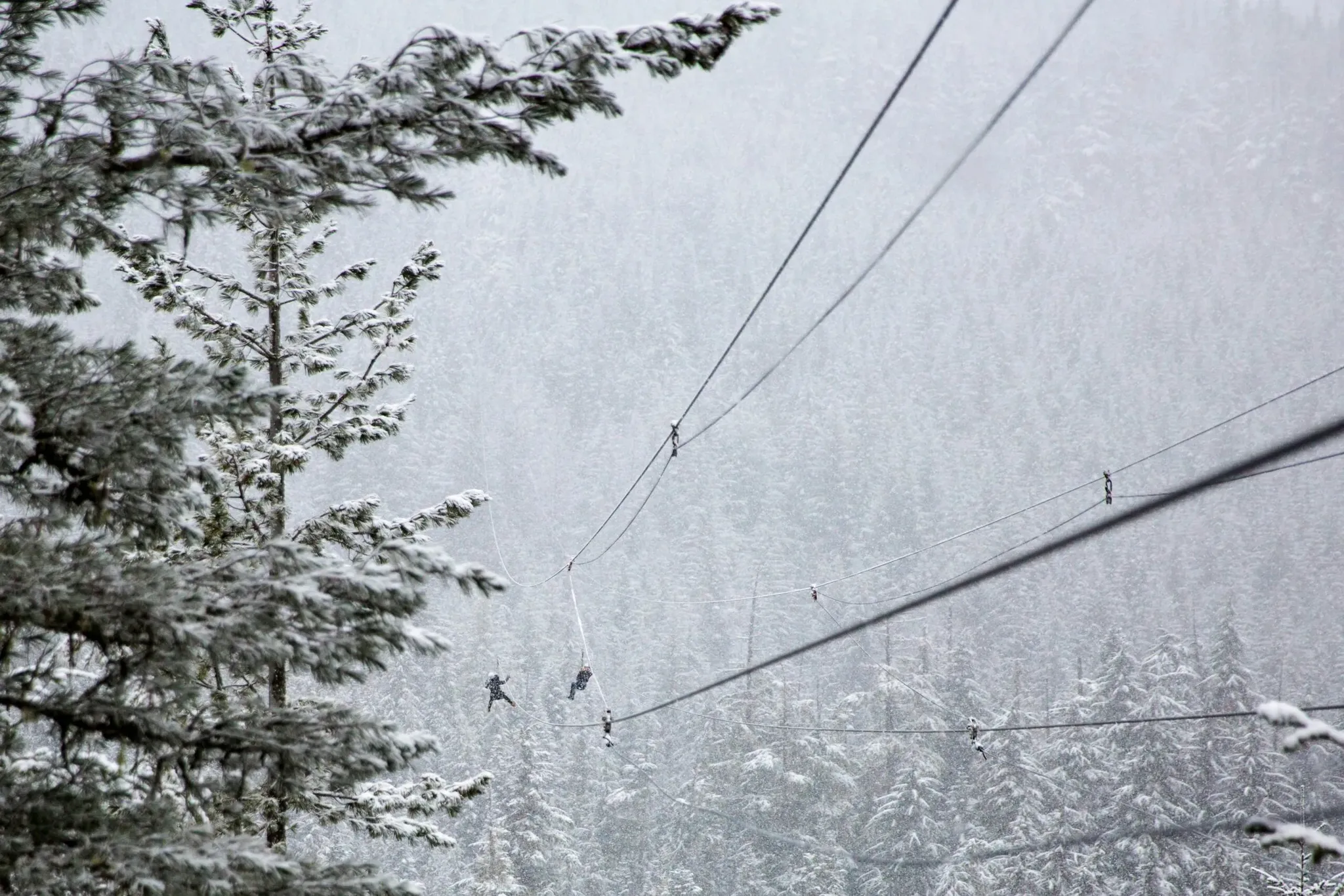 Colorado Rockies ziplining through the snow